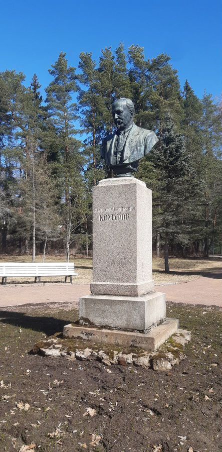 земля г Санкт-Петербург п Комарово р-н Курортный Выборгское шоссе, 18 км фото 28