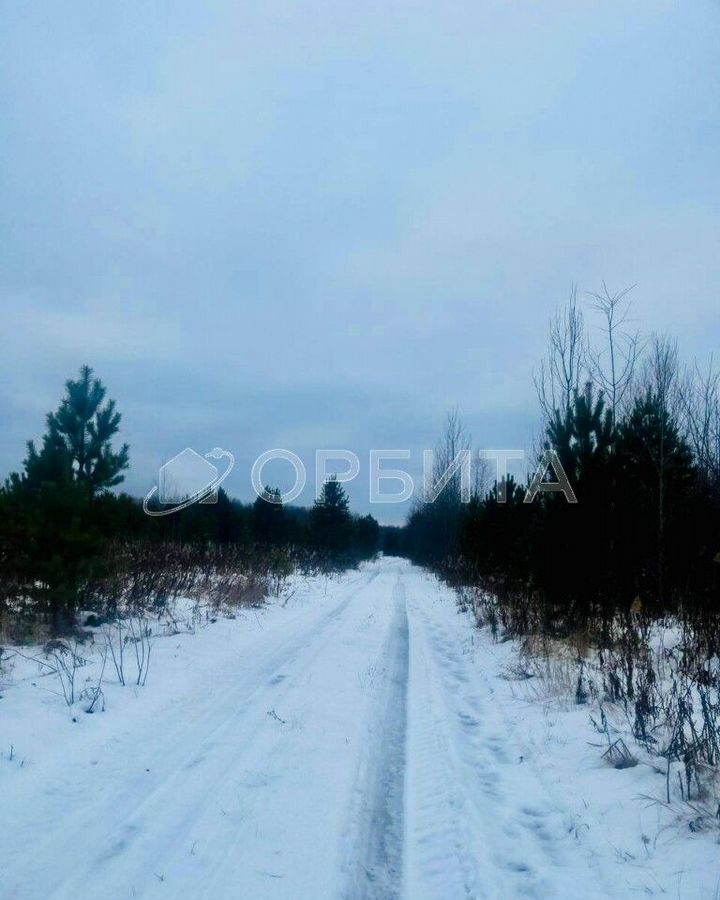 земля р-н Тюменский с Горьковка Горьковское муниципальное образование, Тюмень фото 2