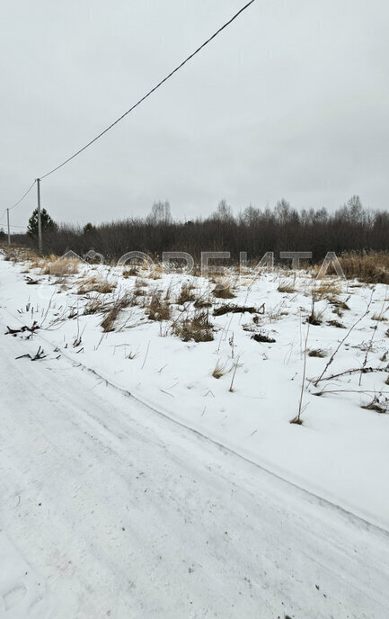 земля р-н Тюменский д Кыштырла фото 1