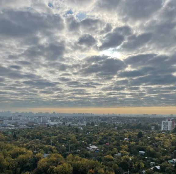 квартира г Нижний Новгород р-н Советский Горьковская ул 2-я Оранжерейная 4а фото 14