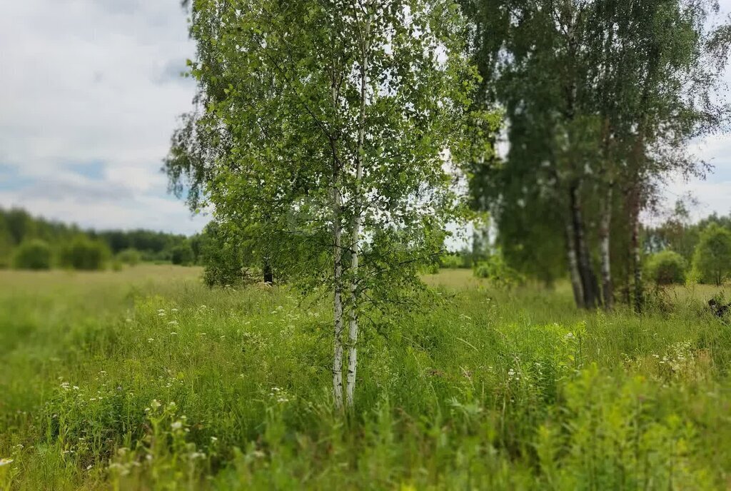 земля р-н Ферзиковский сельское поселение Грабцево, деревня Горневская Слобода фото 10