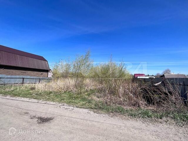 Тюмень городской округ, СО Текстильщик, Придорожная улица фото