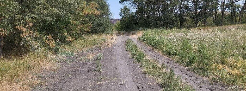 земля р-н Анапский с Цибанобалка ул Ольховская фото 4