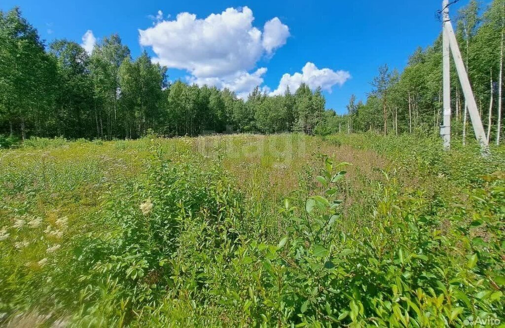 земля р-н Ломоносовский д Новая Буря Лопухинское сельское поселение фото 1