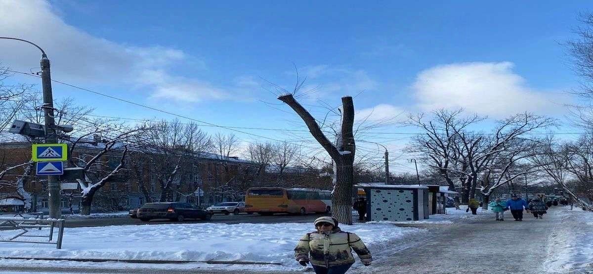 свободного назначения г Самара п Управленческий ул Сергея Лазо 32 Безымянка фото 6