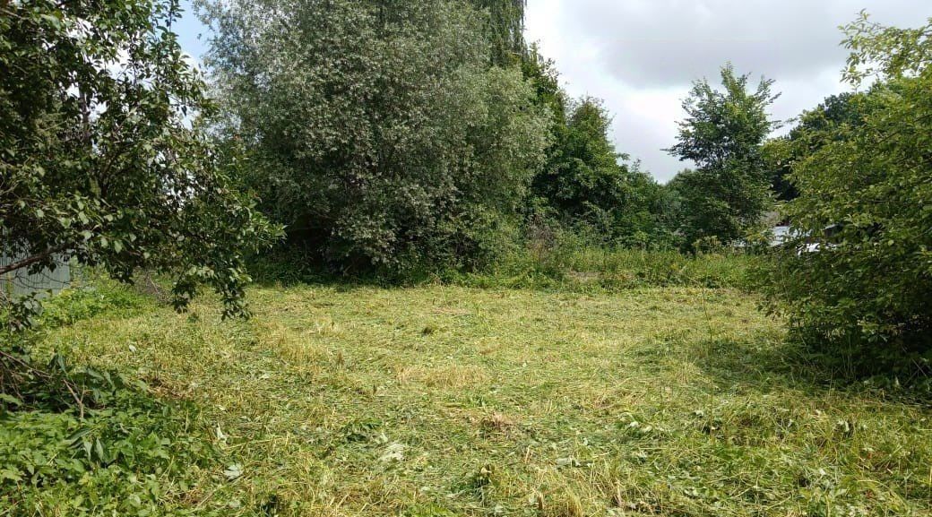 земля р-н Алексинский д Большое Шелепино ул Новая Алексин городской округ фото 5