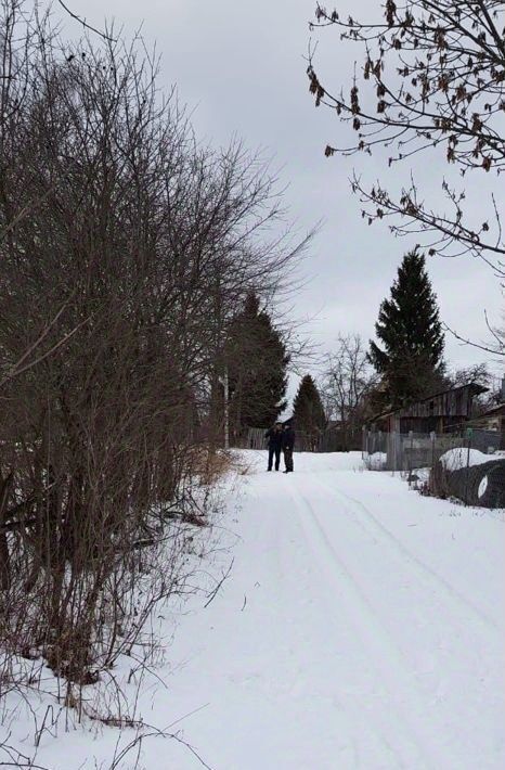 земля р-н Алексинский д Большое Шелепино ул Новая Алексин городской округ фото 14