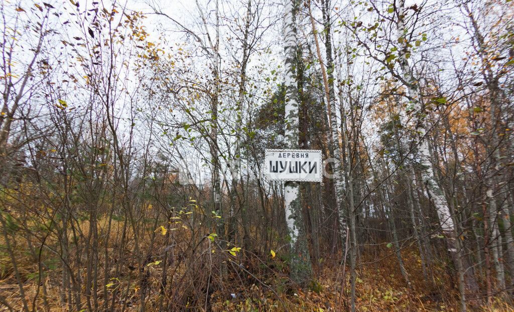 земля р-н Кондопожский г Кондопога Кончезерское сельское поселение, территория Шушки фото 14