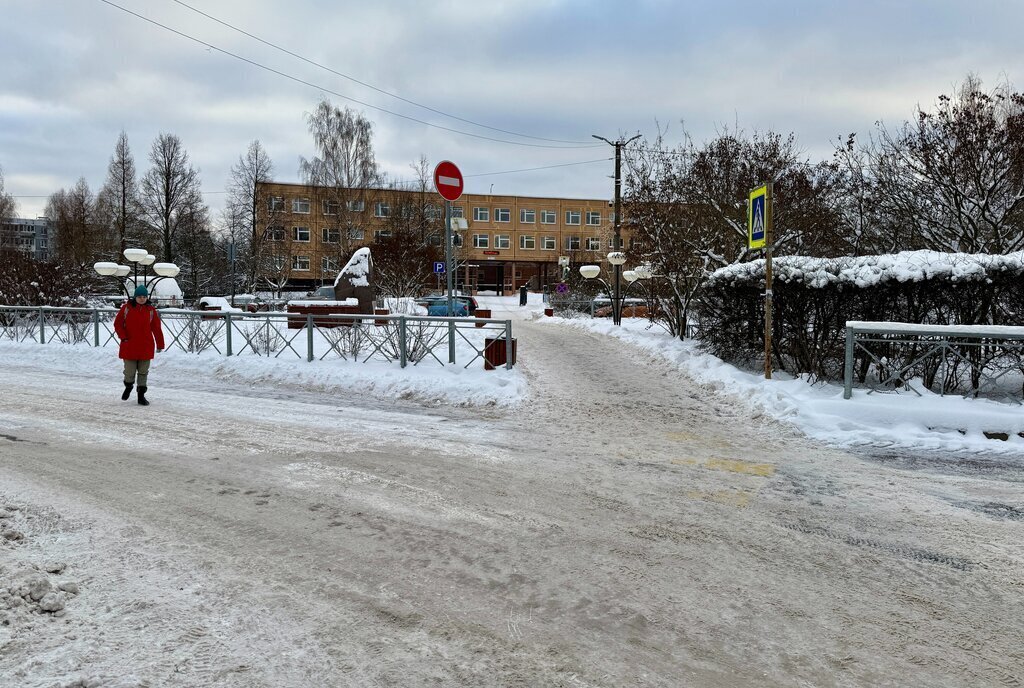 свободного назначения г Всеволожск Бернгардовка ул Победы 9 Девяткино фото 13