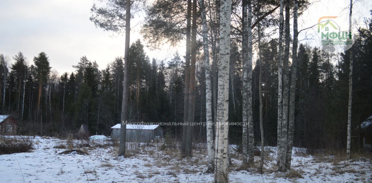 земля р-н Прионежский д Бесовец снт СНТ Садовод Севера Шуйское с/пос, ул. Новая фото 25