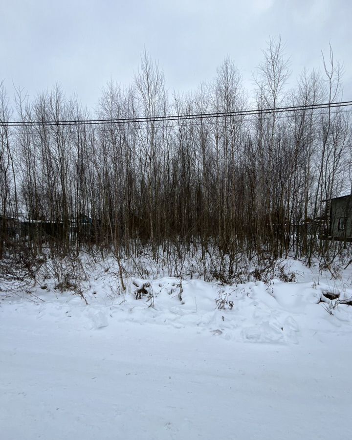 земля городской округ Раменский д Тяжино ул Калиновая 31 км, Бронницы, Рязанское шоссе фото 3