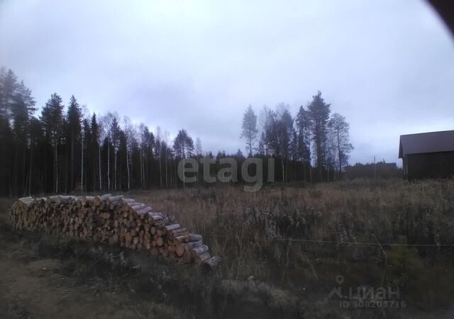 пгт Краснозатонский мкр-н Сосновая Поляна фото