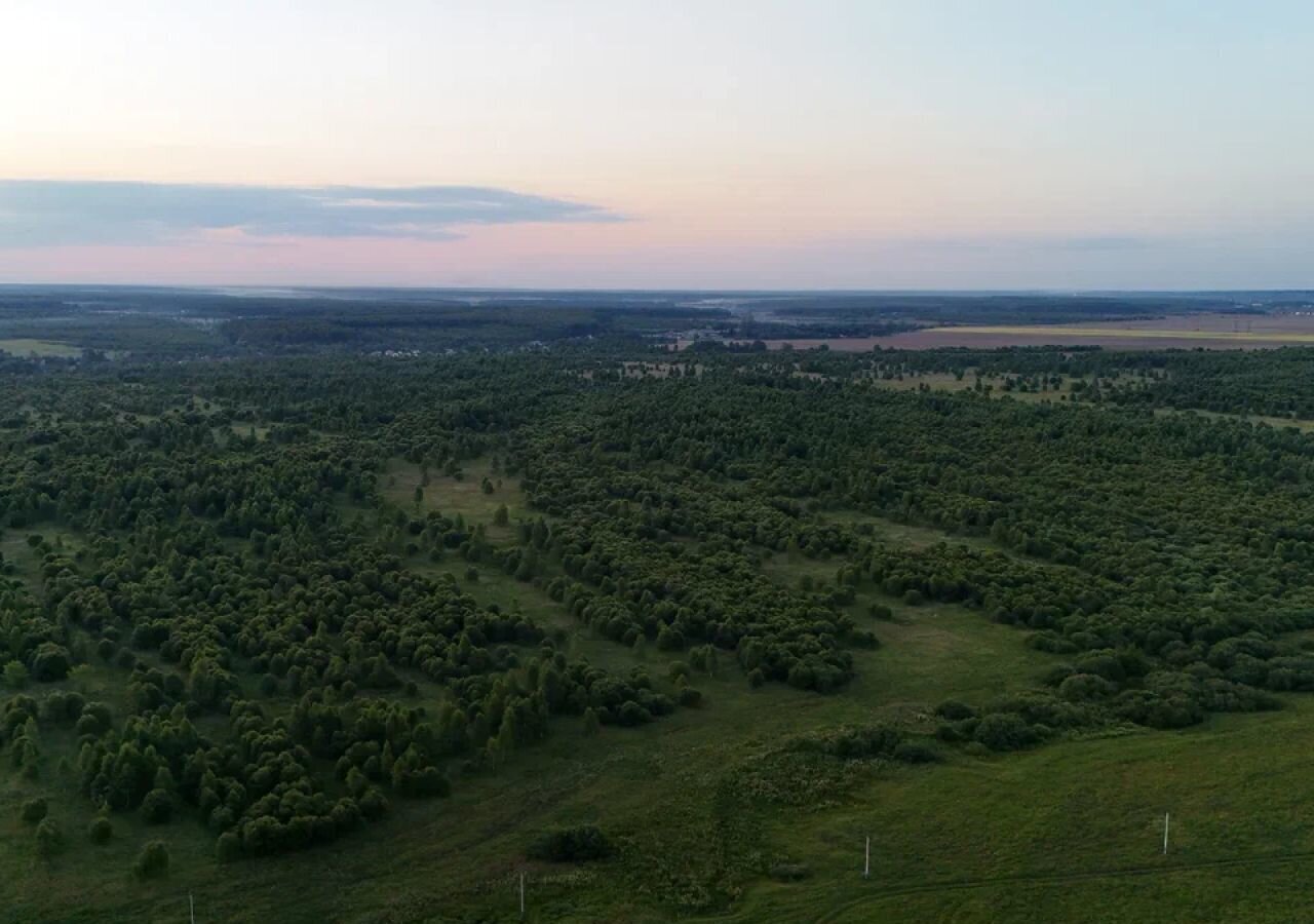 земля городской округ Ступино д Байдиково 64 км, г. о. Ступино, Малино, Новокаширское шоссе фото 10