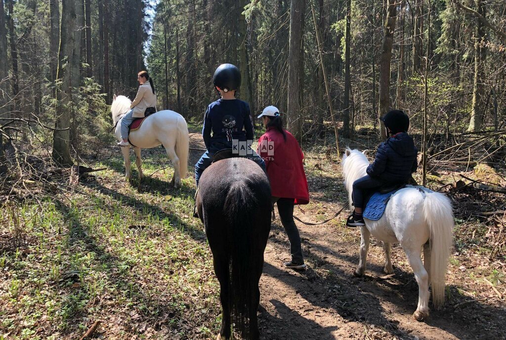 дом городской округ Мытищи д Семенищево Лобня, коттеджный посёлок Федоскино Парк фото 6