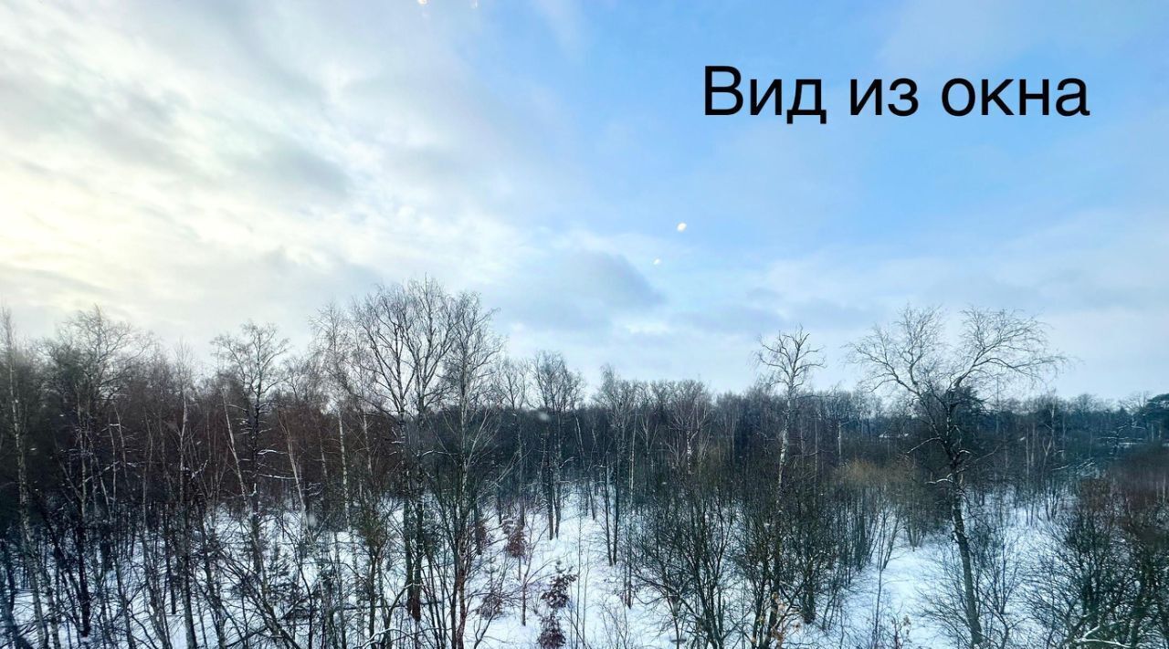 квартира городской округ Мытищи п Вешки ул Лиственная 3 Новые Вешки кп, Алтуфьево фото 4