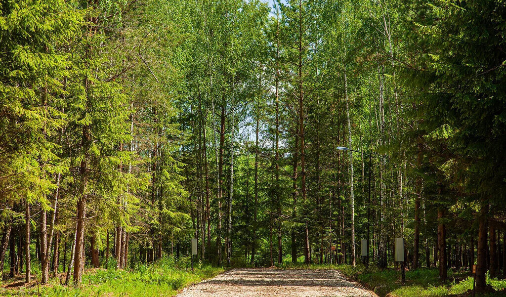 земля городской округ Ступино д Теняково ул Речная 18 фото 8