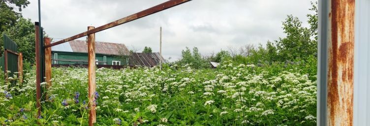 земля р-н Юрьев-Польский с Лыково Небыловское муниципальное образование фото 6