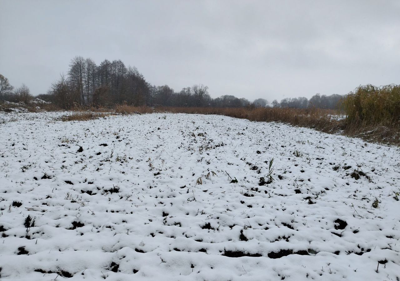 земля городской округ Шебекинский с Кошлаково ул Садовая Шебекино фото 1