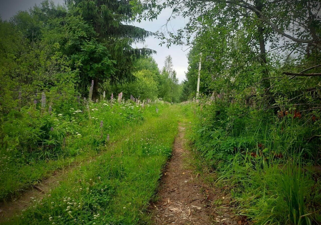 земля р-н Маловишерский д Пустая Вишерка Маловишерское городское поселение, Малая Вишера фото 1