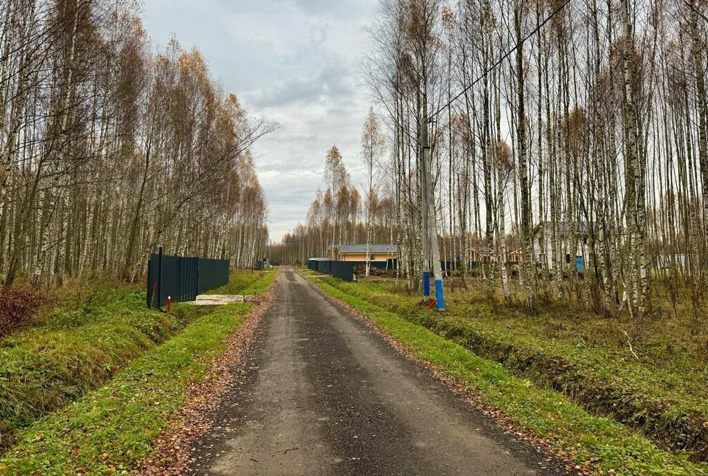 земля городской округ Солнечногорск д Кривцово Зеленоград — Крюково фото 29