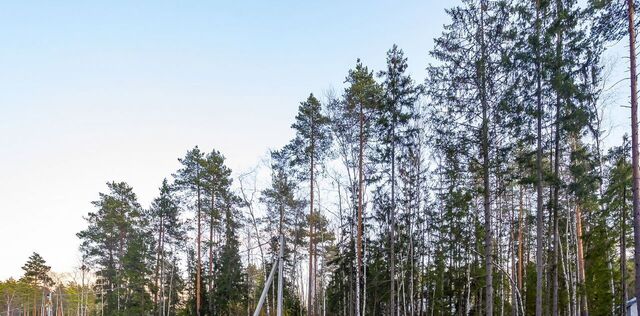 Сертоловское городское поселение, Дворянская Усадьба кп, 114 фото