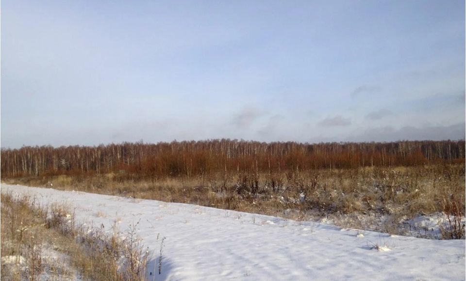 земля городской округ Зарайск д Нижнее Вельяминово снт Осетрик 118 км, Зарайск, Новорязанское шоссе фото 1