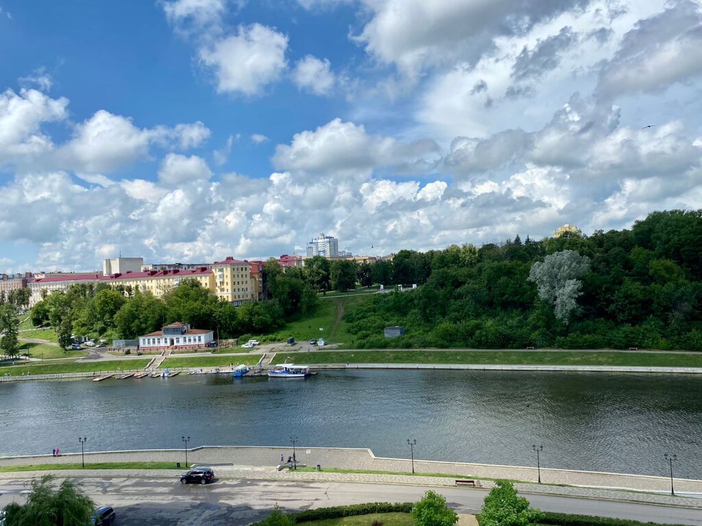 квартира р-н Хвойнинский д Орёл Железнодорожный район, набережная Дубровинского, 76 фото 14