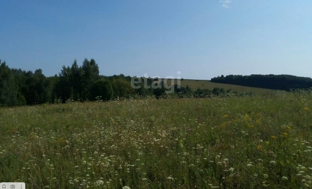 земля р-н Богородский д Шумилово ул Видное Комсомольская фото 12