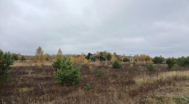 д Свиридоново Коломна городской округ фото