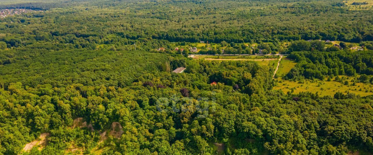 свободного назначения р-н Светлогорский п Лесное ул Лесная 5 Светлогорский городской округ фото 4