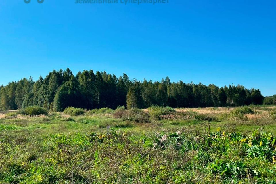 земля р-н Калининский село Каблуково фото 2