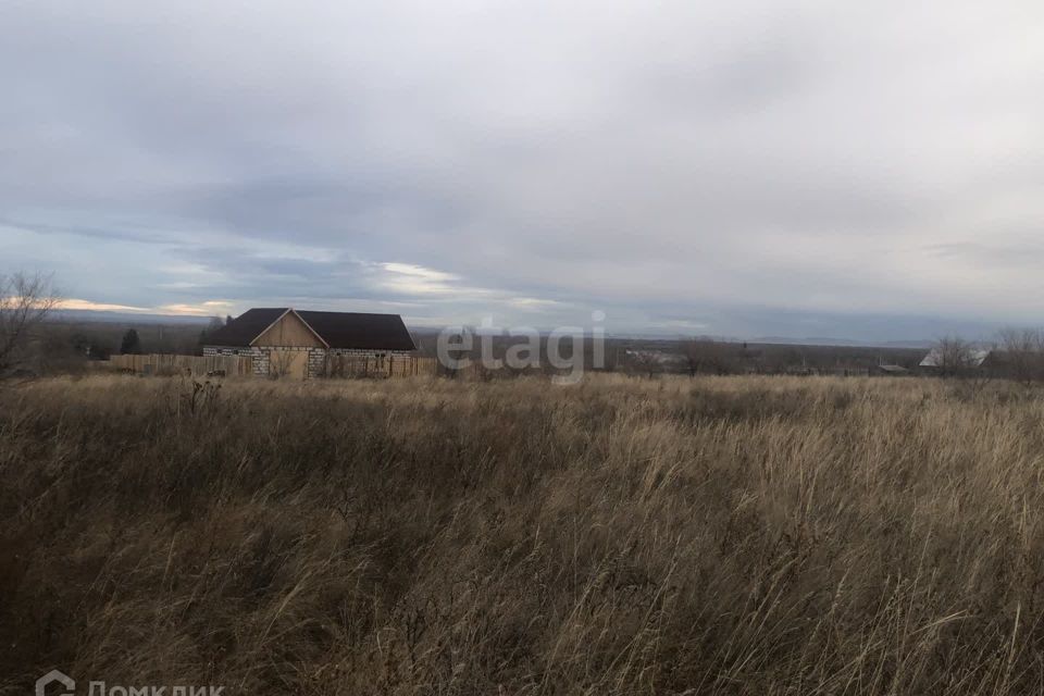 земля р-н Алтайский Белый Яр фото 7