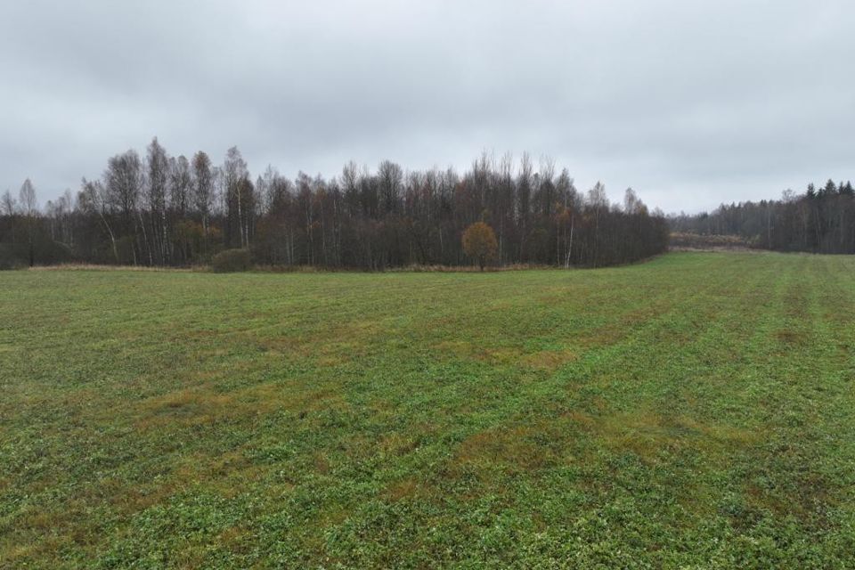 земля городской округ Можайский фото 1