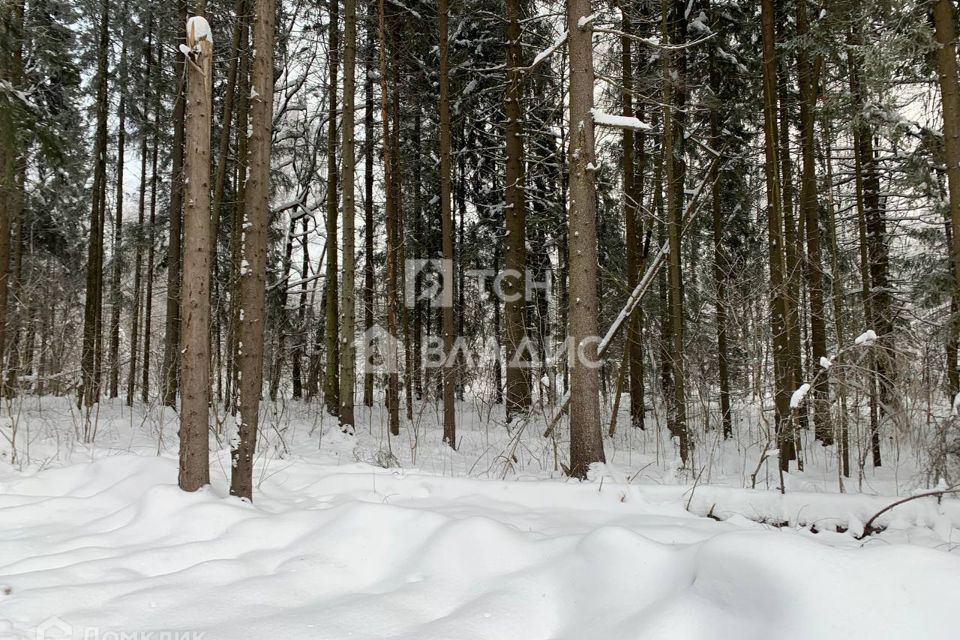 земля городской округ Дмитровский фото 3