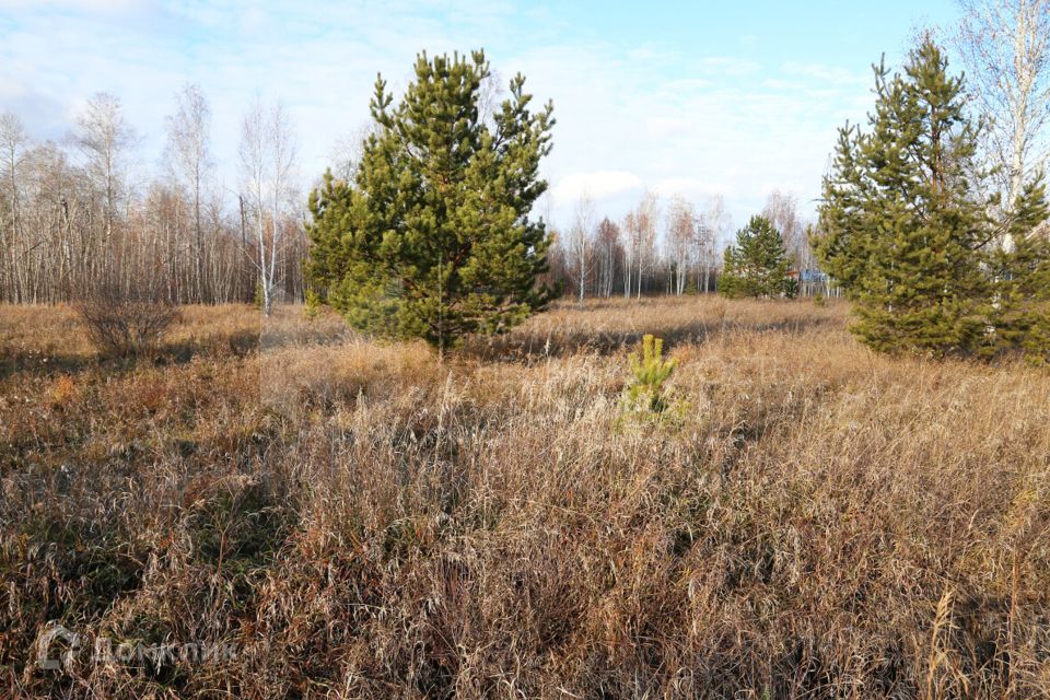 земля р-н Тюменский фото 6