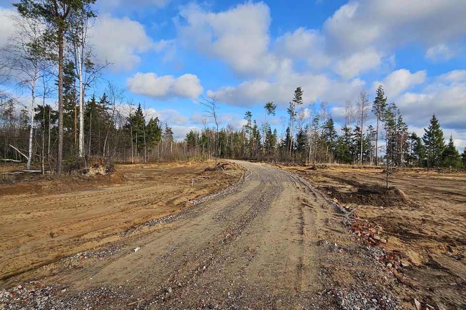 земля городской округ Богородский г Электроугли Восточная деревня фото 6