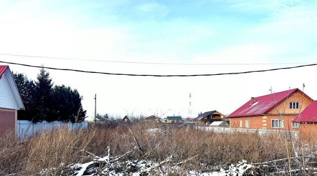 с Береговое ул Центральная Боровской сельсовет фото