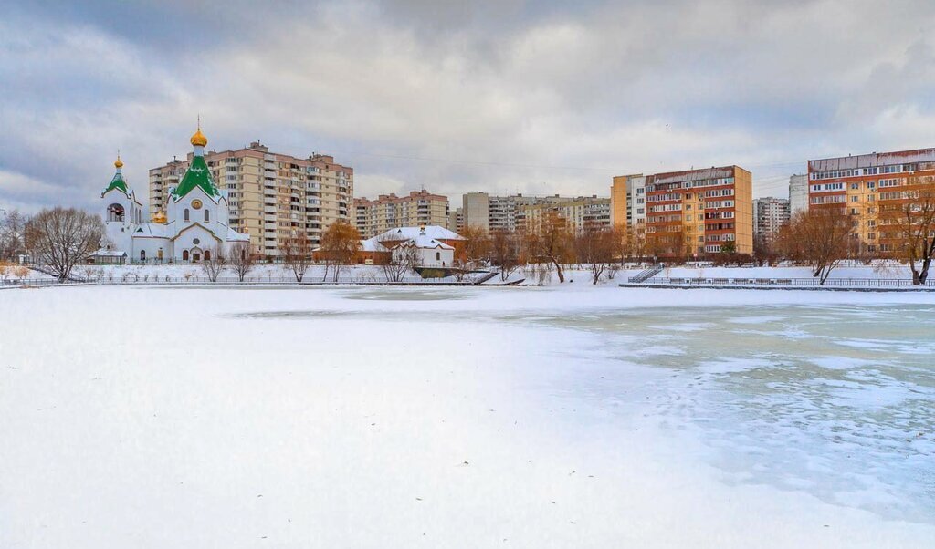 квартира г Москва метро Новокосино ул Суздальская 8к/1 фото 6