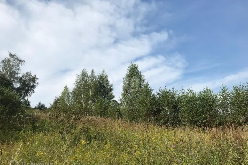 земля городской округ Серпухов д. Райсеменовское фото 3