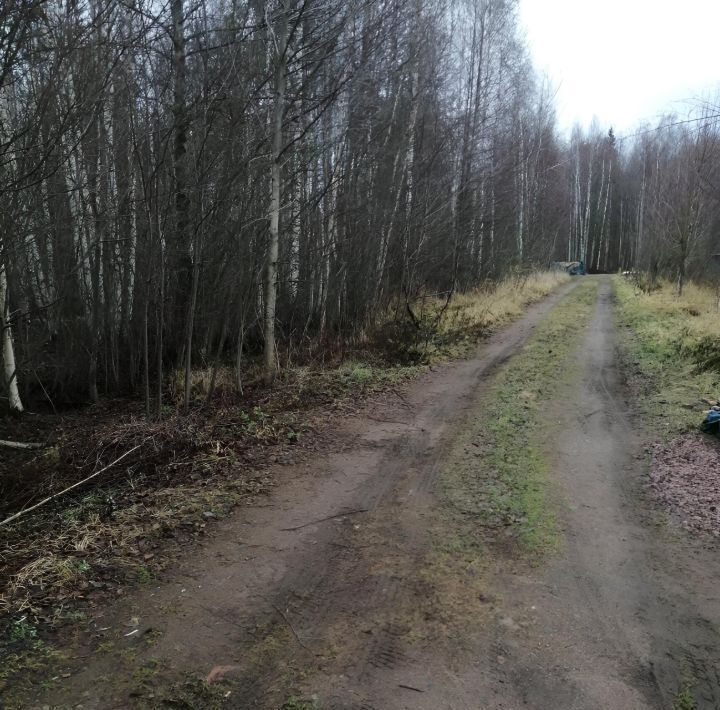 дом р-н Подпорожский д Средняя Рахьинское городское поселение, линия, Всеволожский район, Здоровье СНТ фото 18