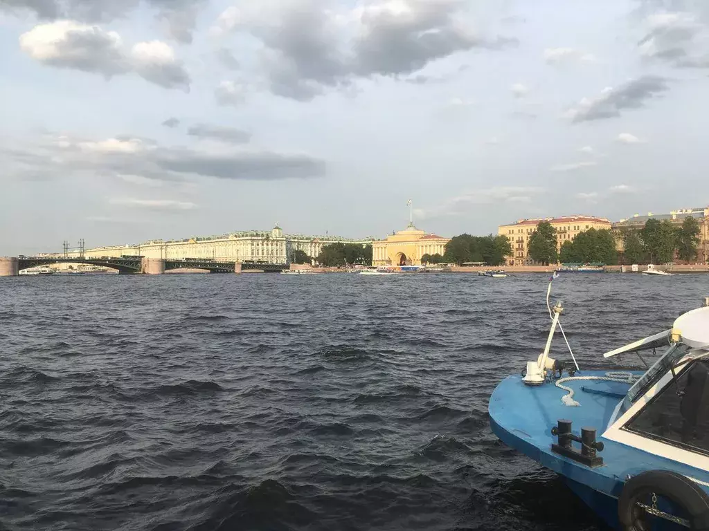 квартира г Санкт-Петербург метро Василеостровская 1-я Васильевского острова линия, 32, Ленинградская область фото 26