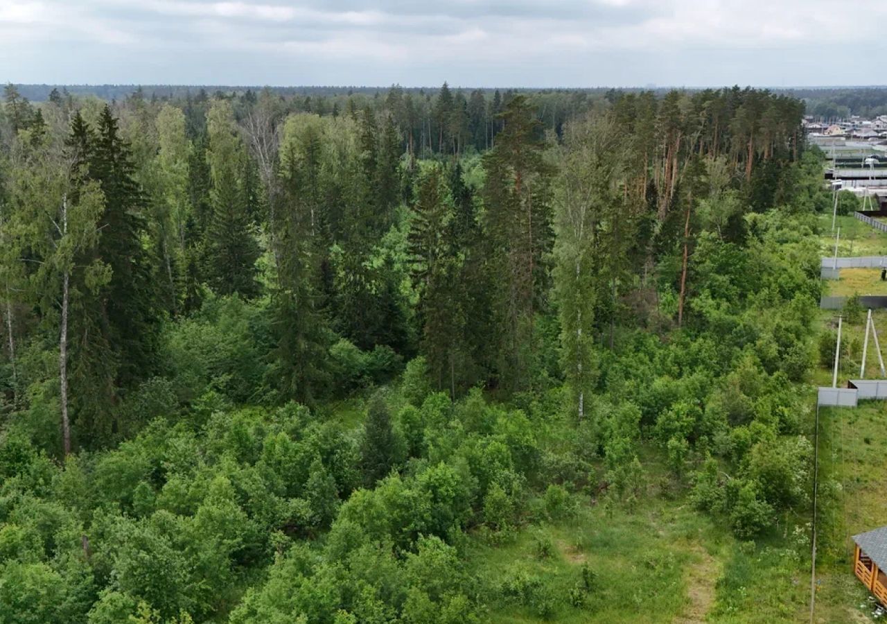 земля городской округ Щёлково д Мишнево ул Кооперативная 44 30 км, Фрязино, Щёлковское шоссе фото 6