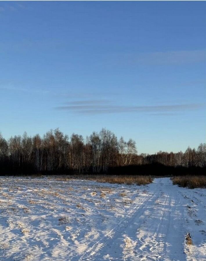 земля р-н Нижнетавдинский снт тер.Райские сады Ключевское сельское поселение, Каскара фото 2