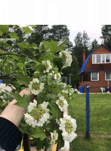 днп ПСК Калинка Сургутский р-н, Тюменская обл., Солнечный фото