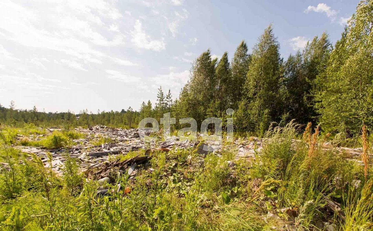 земля г Сургут ПСОК Автомобилист-1, Земляничная ул, Тюменская обл. фото 1