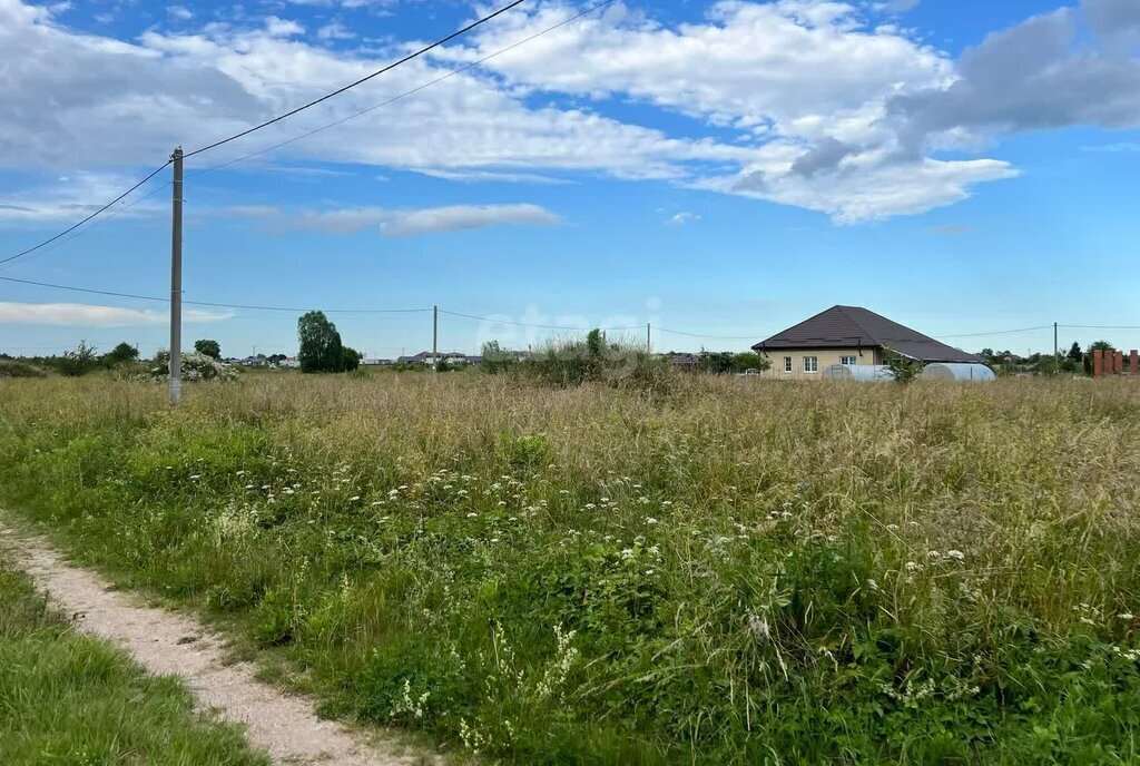 земля р-н Гурьевский п Авангардное фото 1