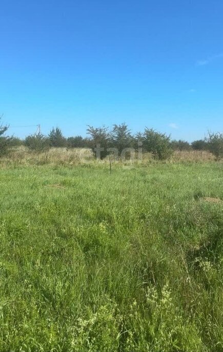 земля р-н Гурьевский п Голубево железнодорожная станция Голубево фото 4