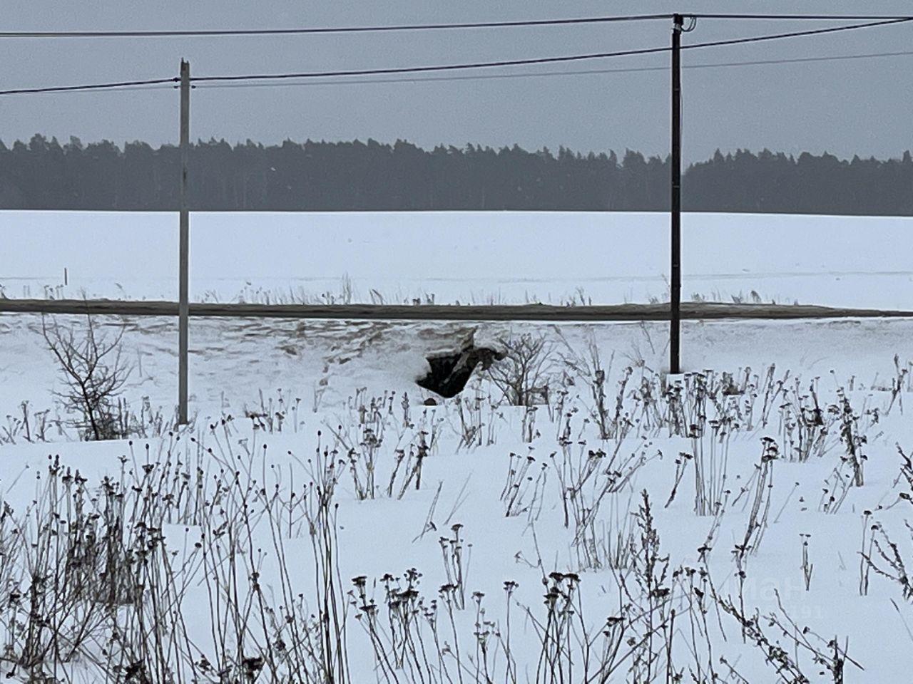 земля городской округ Ступино д Колычево Ольховая улица, Михнево фото 13