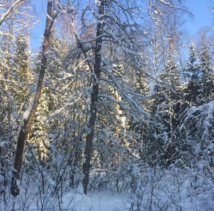 дом городской округ Мытищи д Витенево снт Золотой берег фото 5