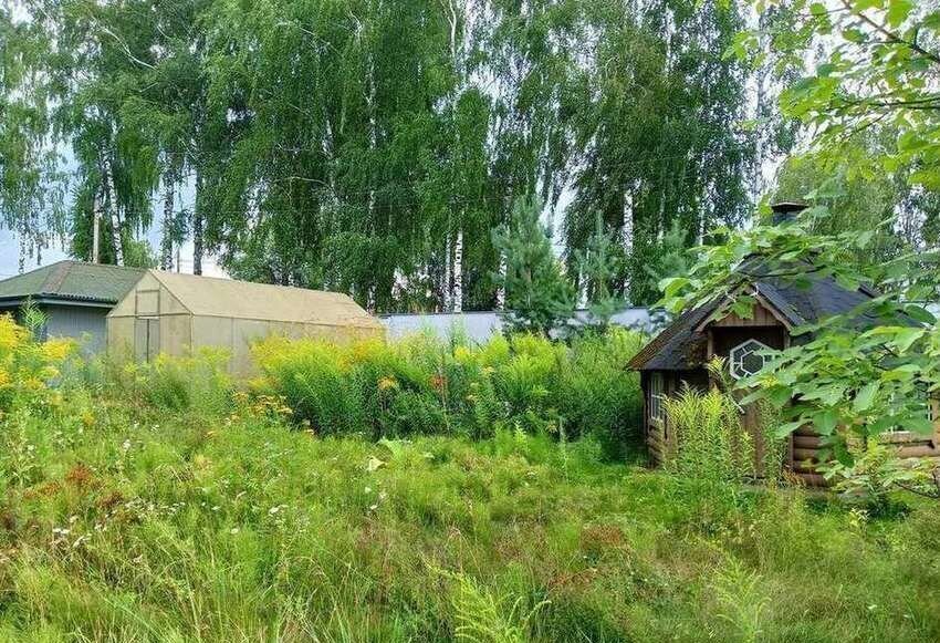 дом р-н Брянский с Супонево ул Российская 1 Супоневское сельское поселение фото 4